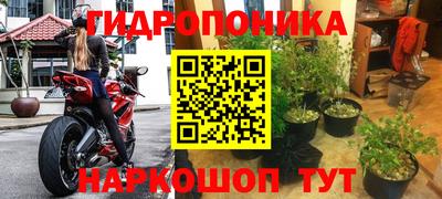 каннабис Кимры