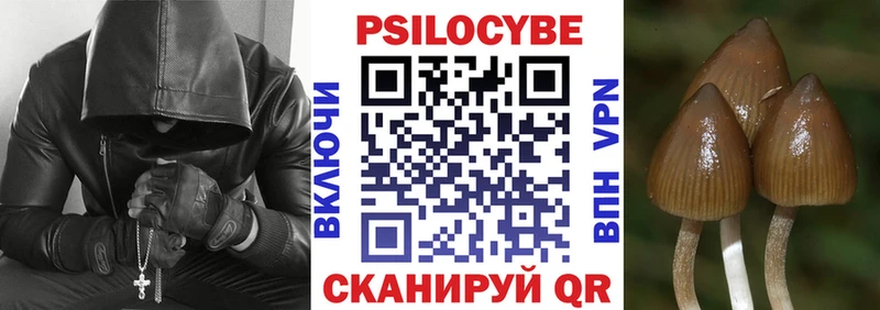 Псилоцибиновые грибы прущие грибы  кракен ССЫЛКА  Магнитогорск 