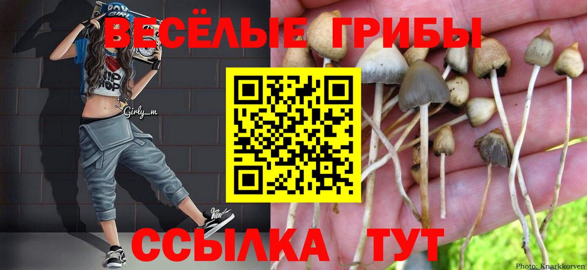 Магнитогорск  Псилоцибиновые грибы прущие грибы  Псилоцибиновые грибы ЛСД  Вход с VPN 